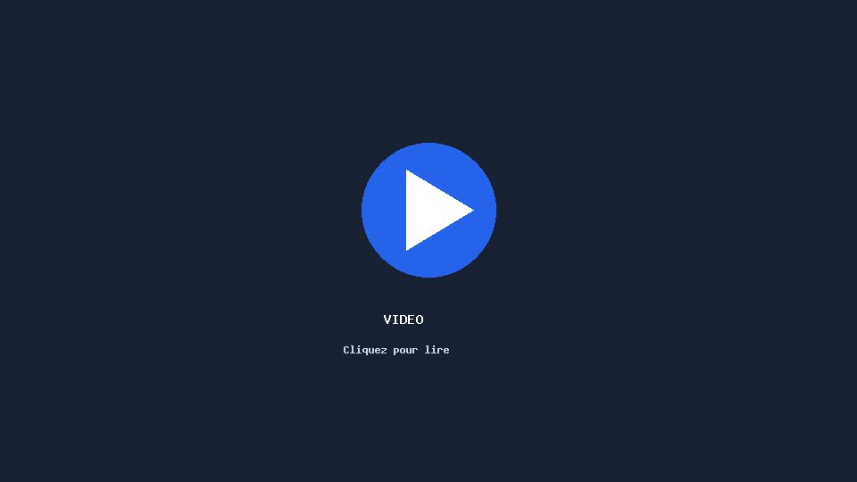 Aperçu de la vidéo